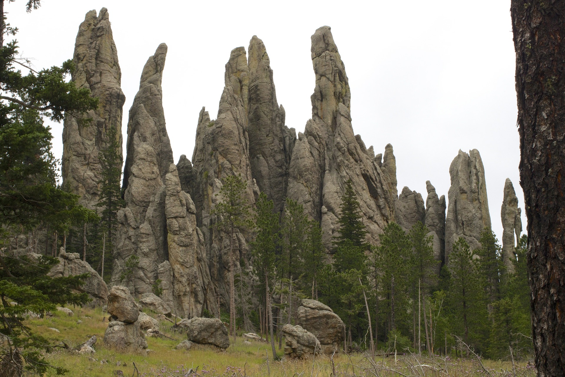 Needles Highway